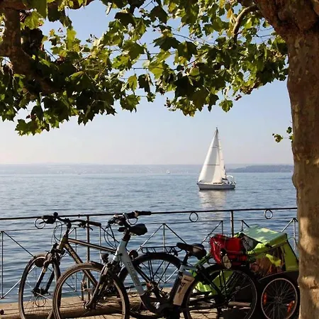 Bacchus Wine & Bites 3* מיירסבורג