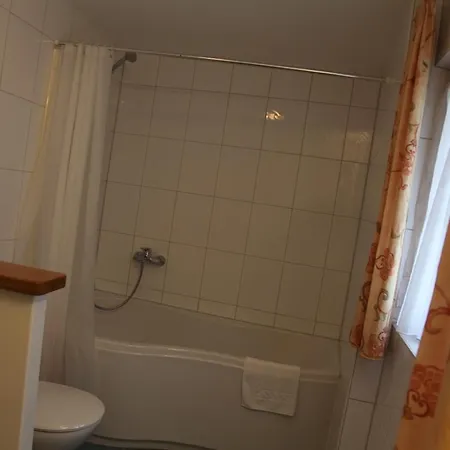 Bacchus Wine & Bites מיירסבורג