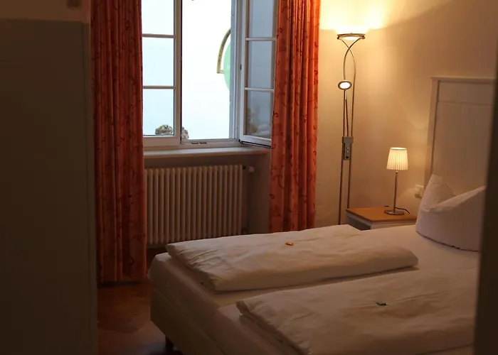 Bacchus Wine & Bites