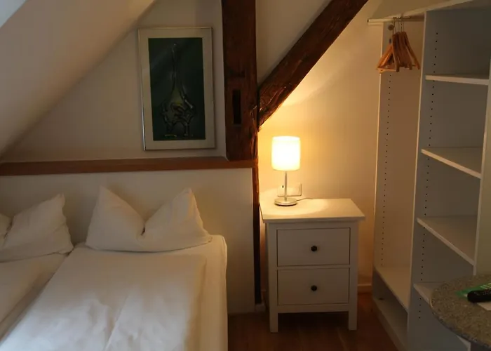 Bacchus Wine & Bites 3*